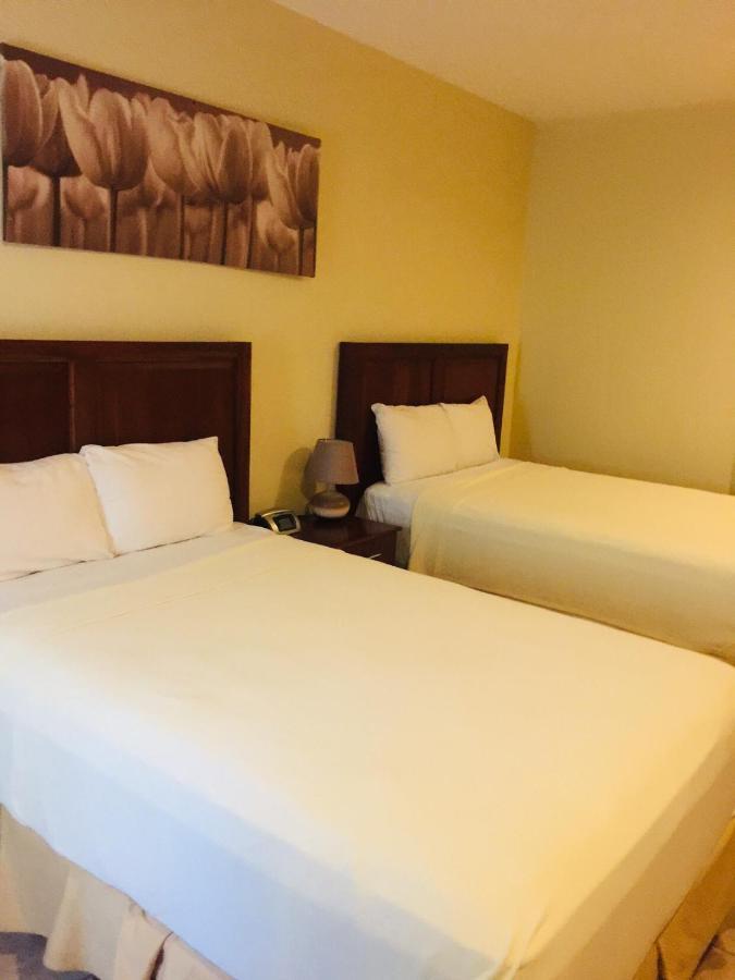 Hotel Primavera Boutique San Pedro Sula Dış mekan fotoğraf